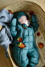 Load image into Gallery viewer, Babysuit
