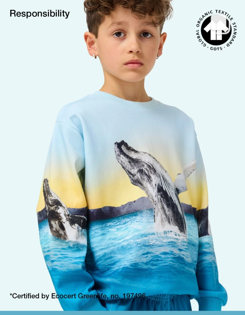 Long sleeve top