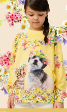 Load image into Gallery viewer, Long sleeve top
