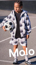 Load image into Gallery viewer, Hoodie
